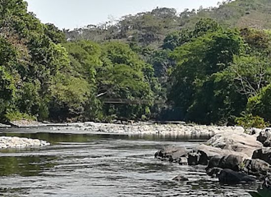 panama/chiriqui-highlands/bar/la-gallotera-rainforest-bar