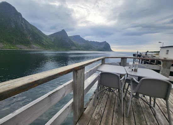 norway/senja-island/bar/the-fat-cod