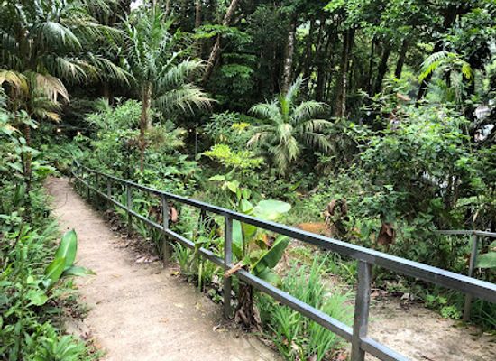 costa-rica/monteverde-cloud-forest-biological-reserve/bar/cafe-colibri