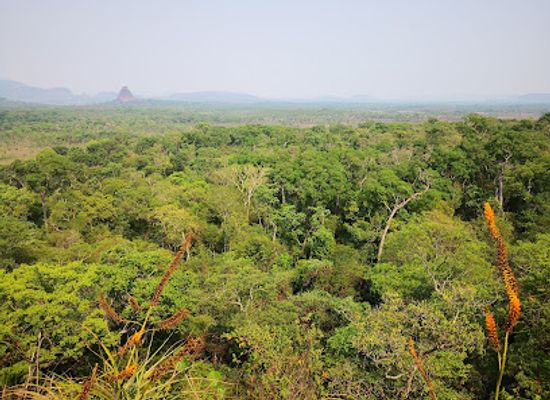paraguay/cerro-cora-national-park/bar/cerro-muralla-parque-nacional-cerro-cora