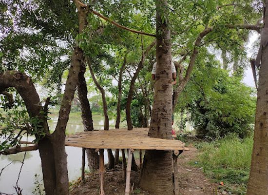 nepal/province-no-1/bar/the-nature-bar-and-restro