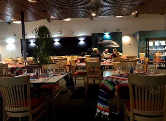 australia/alice-springs/bar/barra-on-todd-restaurant-and-bar