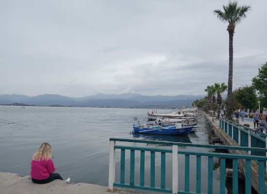 turkiye/lycian-coast/bar/summer-rose-restaurant-and-bar