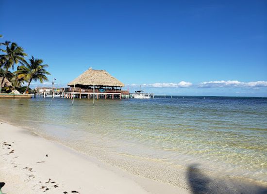 belize/glover-s-reef-atoll/bar/wayo-s-beach-bar
