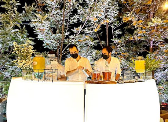 lebanon/mount-lebanon/bar/stir-d-not-shaken