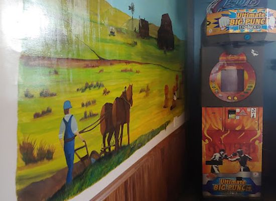 nebraska/sandhills/bar/the-back-40