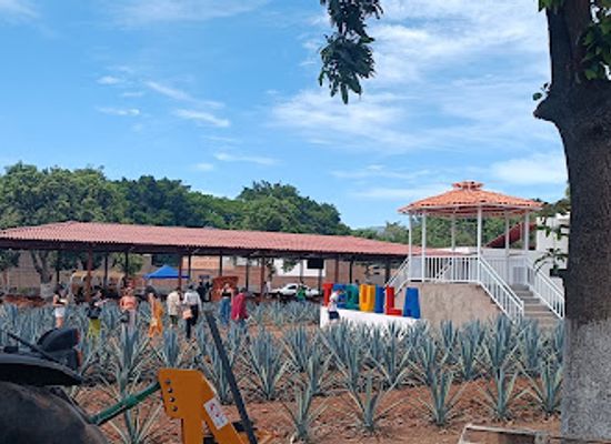 mexico/tequila-valley/bar/blueagave