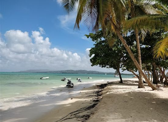 trinidad-and-tobago/st-patrick/bar/sharon-s