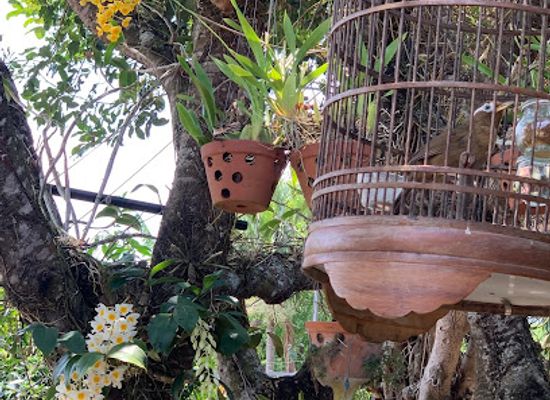 vietnam/central-highlands/bar/nha-thay-kien