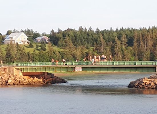 canada/maritimes/bar/carr-s-oyster-bar