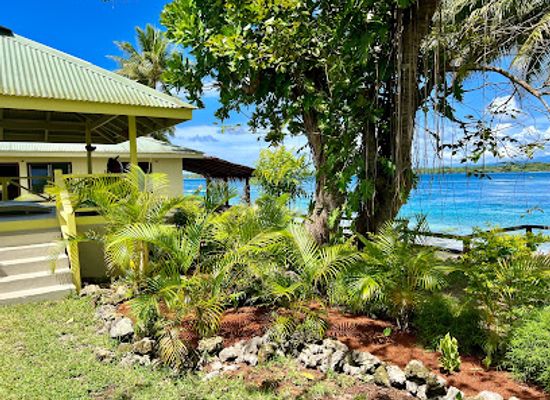 vanuatu/aore-island/bar/palms-retreat-on-aore-island