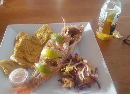 puerto-rico/arecibo-region/bar/la-tribu-beach-bar
