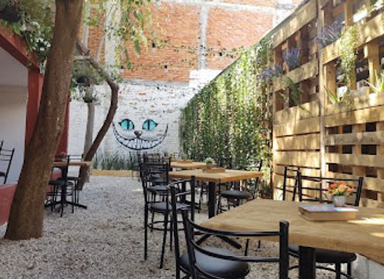 mexico/chiapas/bar/rabbit-rock-house