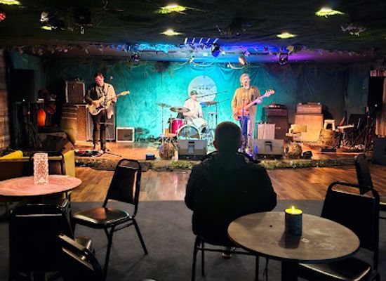 kentucky/pennyroyal-plateau/bar/the-nook