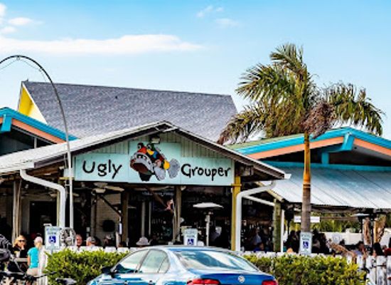 florida/sun-coast/bar/the-ugly-grouper