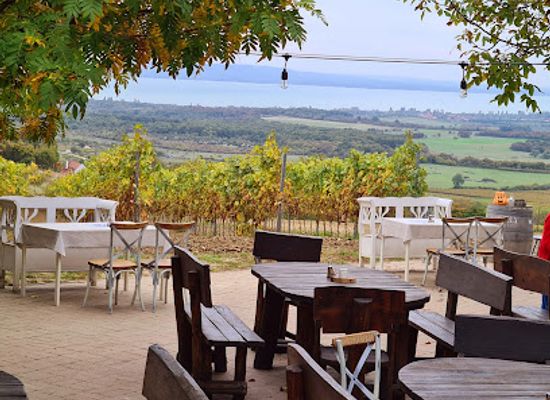 hungary/balaton-uplands/bar/gergely-borhaz