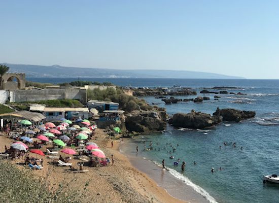 lebanon/tyre-coast/bar/al-jamal