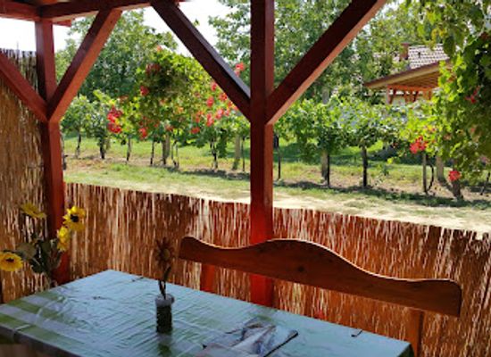 hungary/lake-balaton/bar/oroszi-preshaz