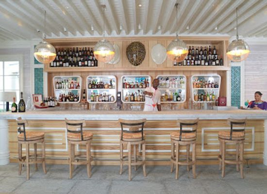 saint-vincent-and-the-grenadines/canouan/bar/turtles