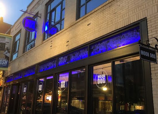 illinois/wabash-valley/bar/moon-dog