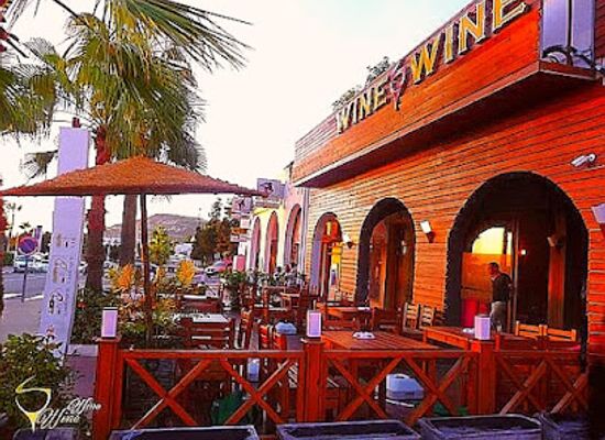 morocco/agadir-region/bar/wine-wine