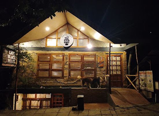 india/manali/old-manali/bar/backyard-cafe-best-cafe-in-manali