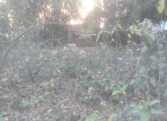 bangladesh/rangpur-division/bar/pondit-para-kadrosthan