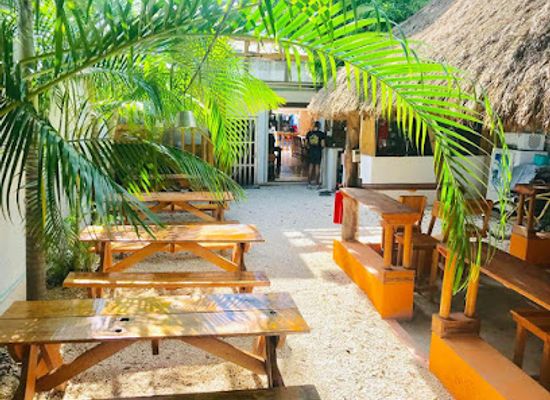 mexico/cozumel/bar/tony-b-s
