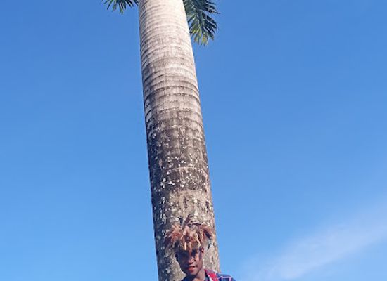 papua-new-guinea/wewak/bar/wewak-wharf