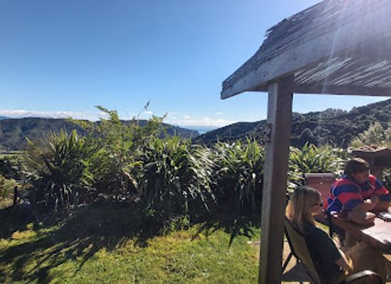 new-zealand/abel-tasman-national-park/bar/totos-cafe-pizzeria