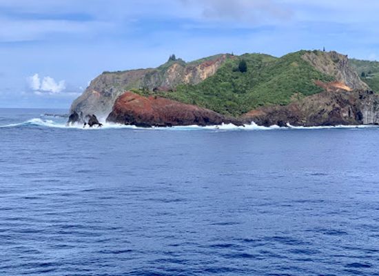 pitcairn-islands/bounty-bay-settlement/bar/pitcairn-island
