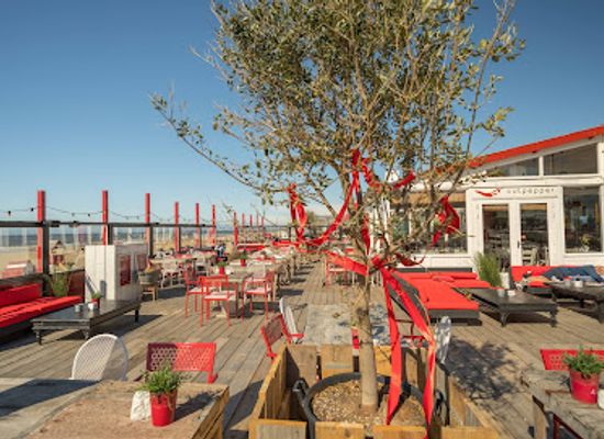 netherlands/delfland/bar/beachclub-culpepper