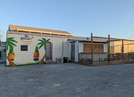 the-bahamas/eleuthera-island/bar/shady-pineapple