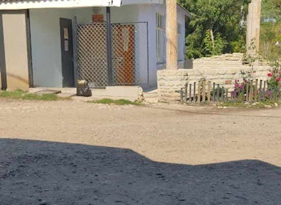 moldova/tighina-county/bar/magazin-alimentar
