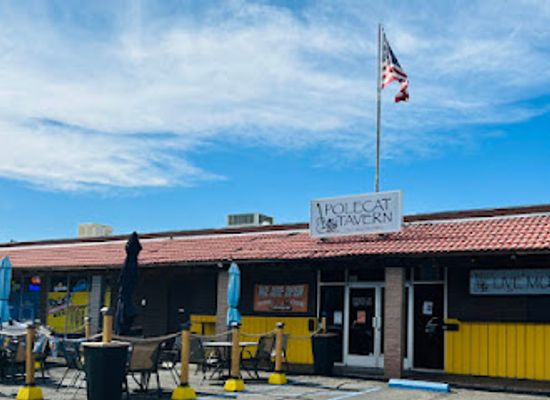 nevada/carson-valley/bar/polecat-tavern