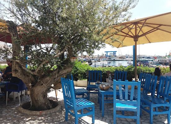 tunisia/kelibia/bar/le-vieux-port