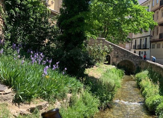 spain/castile-la-mancha/bar/el-chaflan-del-huecar
