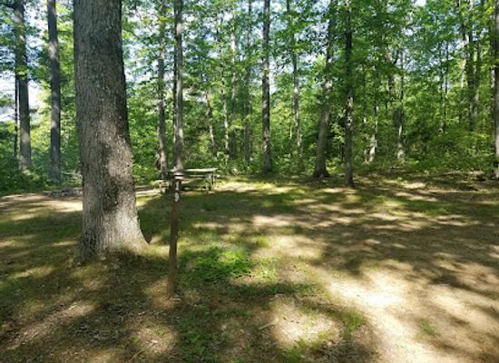 maryland/green-ridge-state-forest/bar/green-ridge-state-forest-campsite-19