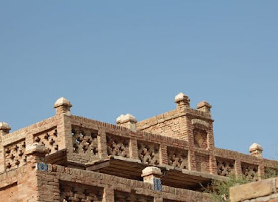 pakistan/thar-desert/bar/village-palio-khan-laghari