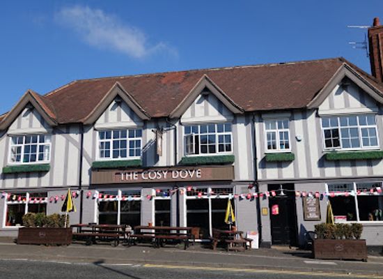 united-kingdom/north-east-england/bar/cosy-dove