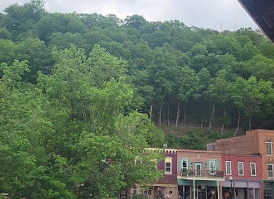 iowa/yellow-river-state-forest/bar/backwoods-bar-grill