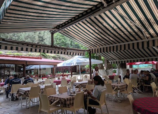 cyprus/troodos/bar/psilo-dendro