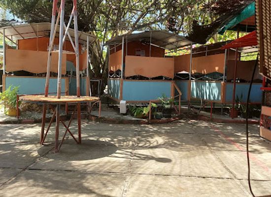 maldives/seenu-atoll/bar/guley-s-pixxa-pub