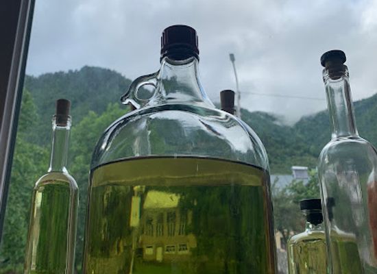 georgia/mestia/bar/wine-shop