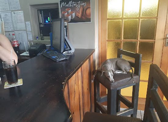 south-africa/zululand/bar/ella-mera