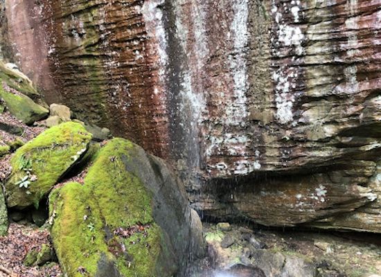 kentucky/carter-caves-state-resort-park/bar/cascade-cave-parking-lot