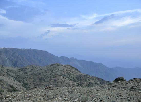 saudi-arabia/makkah/bar/al-hada-palm