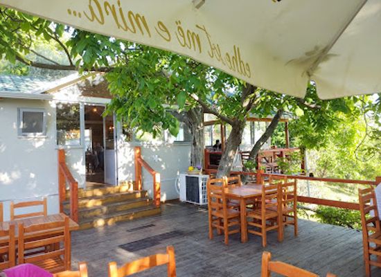 albania/kruja/bar/garden-organic-restaurant-mali-camping