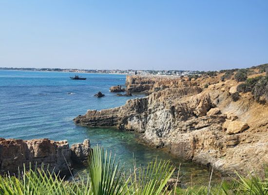 tunisia/el-haouaria/bar/haouaria