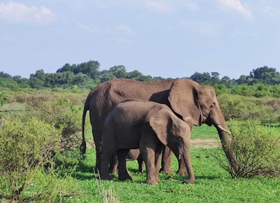 botswana/tuli-block/bar/northern-tuli-game-reserve